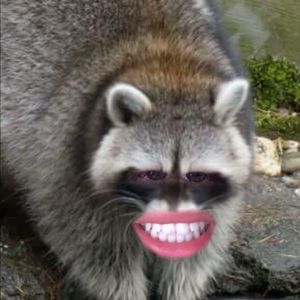 Meet your Posher, Joshua